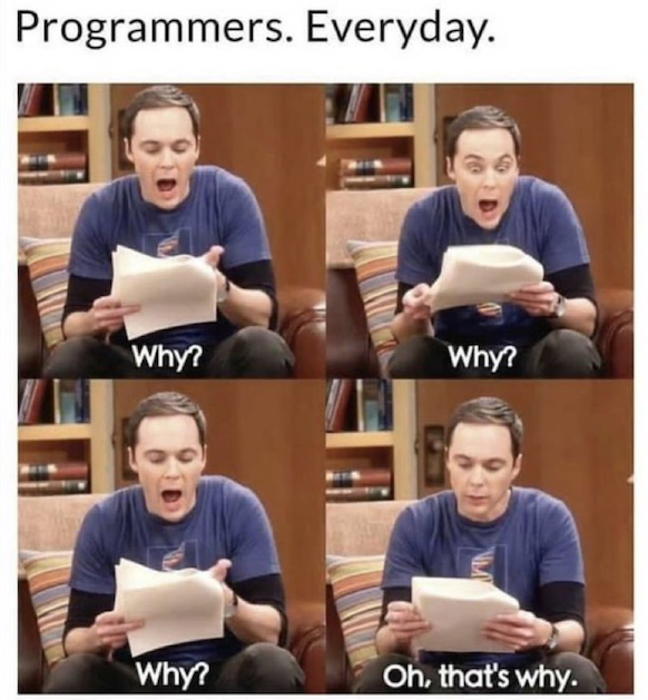 Four-panel meme of a programmer reading a stack of papers, captioned 'Why? Why? Why? Oh, that's why.'