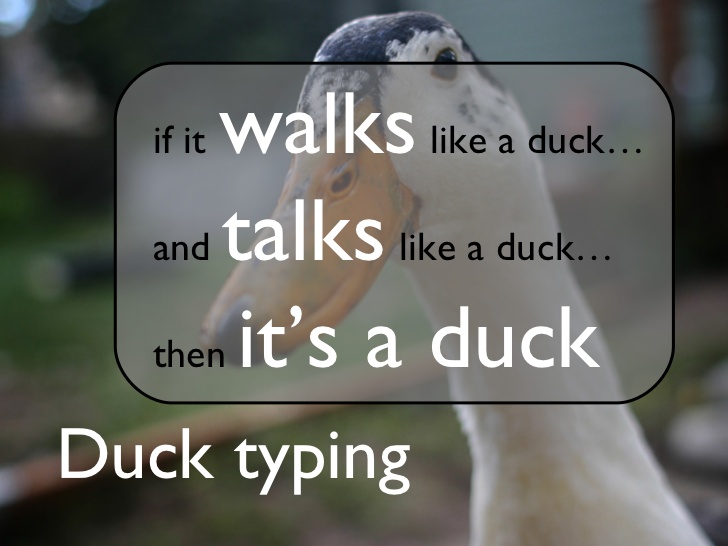 Duck typing meme: if it has a .text, prints like it has a .text, and quacks like it has a .text, Python calls it a tweet and gets on with its day.