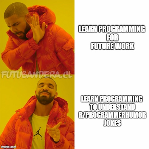 Drake meme: rejecting 'learn programming for future work' in favor of 'learn programming to understand r/ProgrammerHumor jokes.'